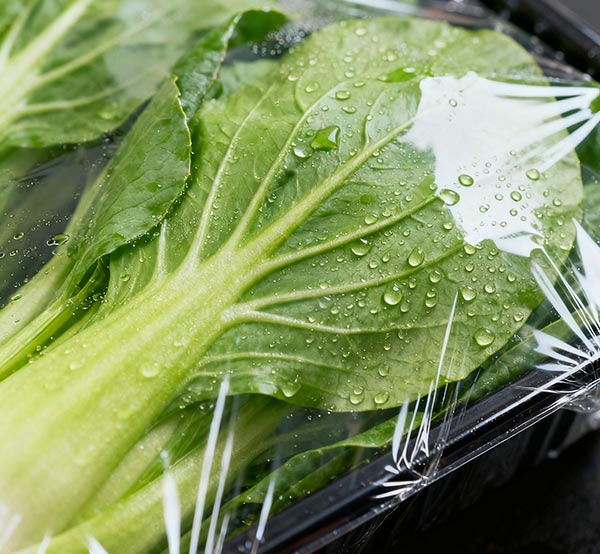 Grünes Recycling wird zum Mainstream und Donghui Heat Shrink Film treibt den Wandel der Verpackungsindustrie mit umweltfreundlicher Technologie voran.
